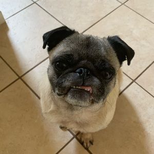 Meet your Posher, Gina